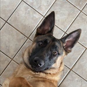 Meet your Posher, Beverly